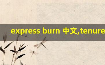 express burn 中文,tenure-track